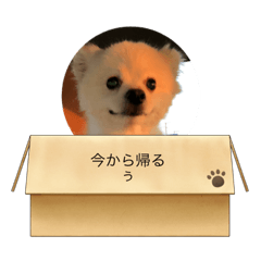 ayumi_20220802200227