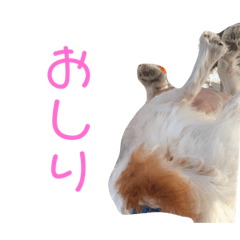 yuka_20220802181809