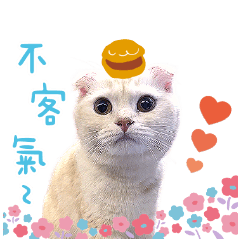 小泡芙貼圖❤️