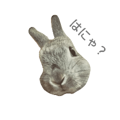 MONAKA_20220803041109