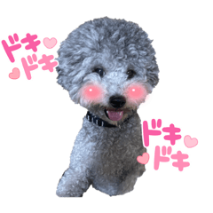 smile_20220803062946