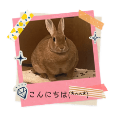 Smaile_20220803095146