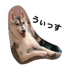 kichiko_20220803105925