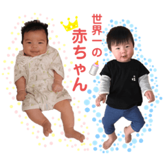 yayoi_20220803125109