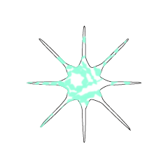 TEST_STAR_90