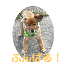 muminn_20220803102948