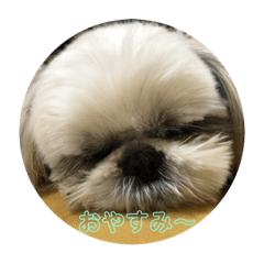 Kuu_15