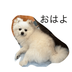 kuu20220803144055