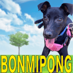 BONMIPONG SAY HI TO YOU