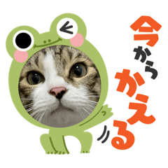 natuumi_20220803162231