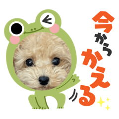 Yuto_20220803185908