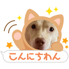 nanairo_20220803202136