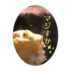 saori_20220803192416