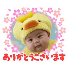 HIKARI_20220803205520