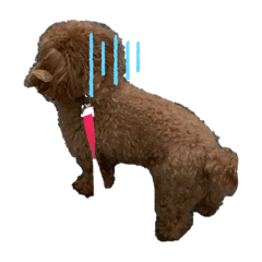 smile_20220803201733