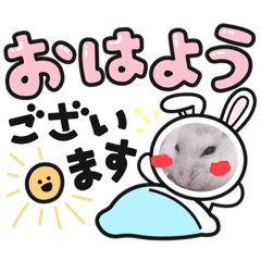 aoi_20220803084754