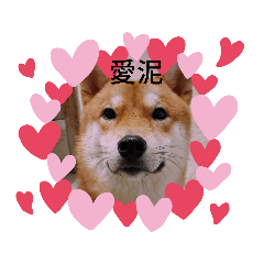 吐司表情包