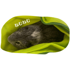 moru_20220804012858 – LINE stickers | LINE STORE