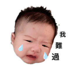 跳董的喜怒哀樂