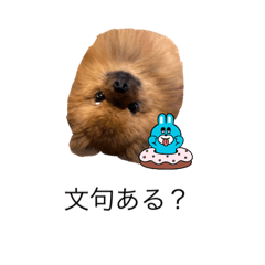 Hikaru_20220804110658