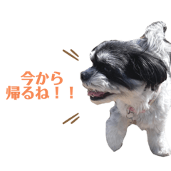 tomomi_20220804111951