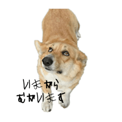 hana_20220804121038