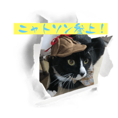 masamibox_20220804120930