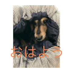 ryuki_20220804120343