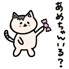 Maegami cat speaks the Osaka dialect