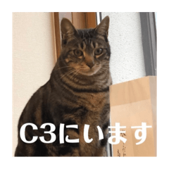C_20220804025736