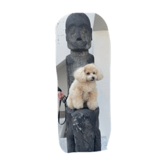 Chisa_20220804083413