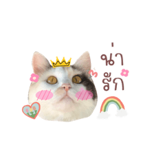 Piyanuchhh_20220804094709