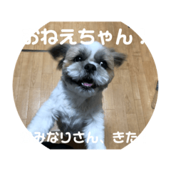 SUZU_20220804145121