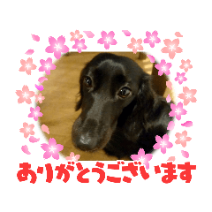 aoi_20220804173159
