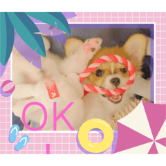 yukari_20220804193015