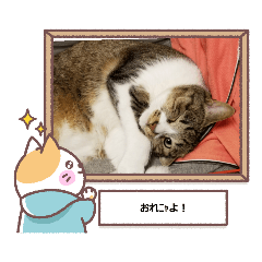 PORONYUKI_20220804191434
