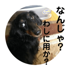 kichiko_20220804205907