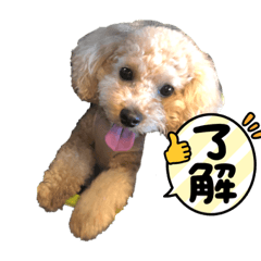 hana_20220804225901