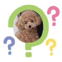 NATSUMI_20220804211217