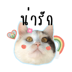 Piyanuchhh_20220804194051