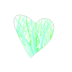 TEST_Heart_57