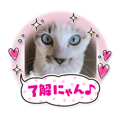 takuya_20220805002757