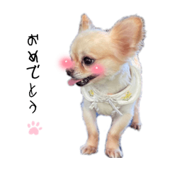 nozomi_20220805014025