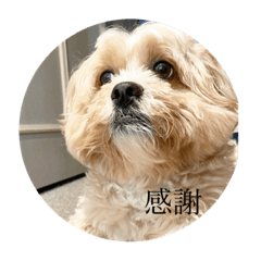 Takuya_20220805015052