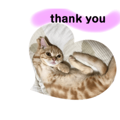 shiho_20220805015935