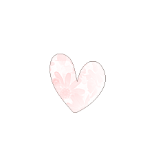 TEST_Heart_31