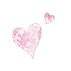 TEST_Heart_30