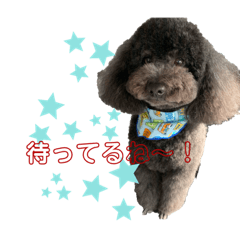 rina_20220805073209