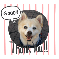 Smile_20220805112938