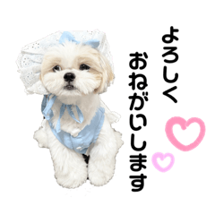 manmaru_20220805125713